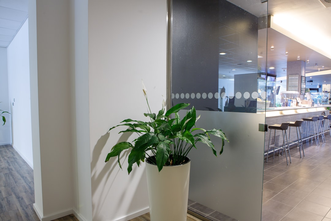 découvrez la définition, les rôles et l'importance d'une facility dans le secteur immobilier, industriel ou de services. tout sur la gestion et les solutions innovantes pour optimiser vos installations.