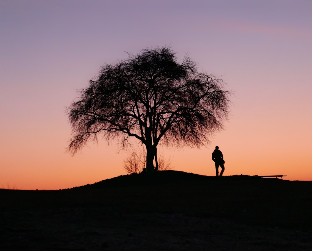 découvrez tout ce qu'il faut savoir sur la tutelle (guardianship) : définition, procédures, droits et responsabilités, pour assurer la protection juridique d'une personne vulnérable.