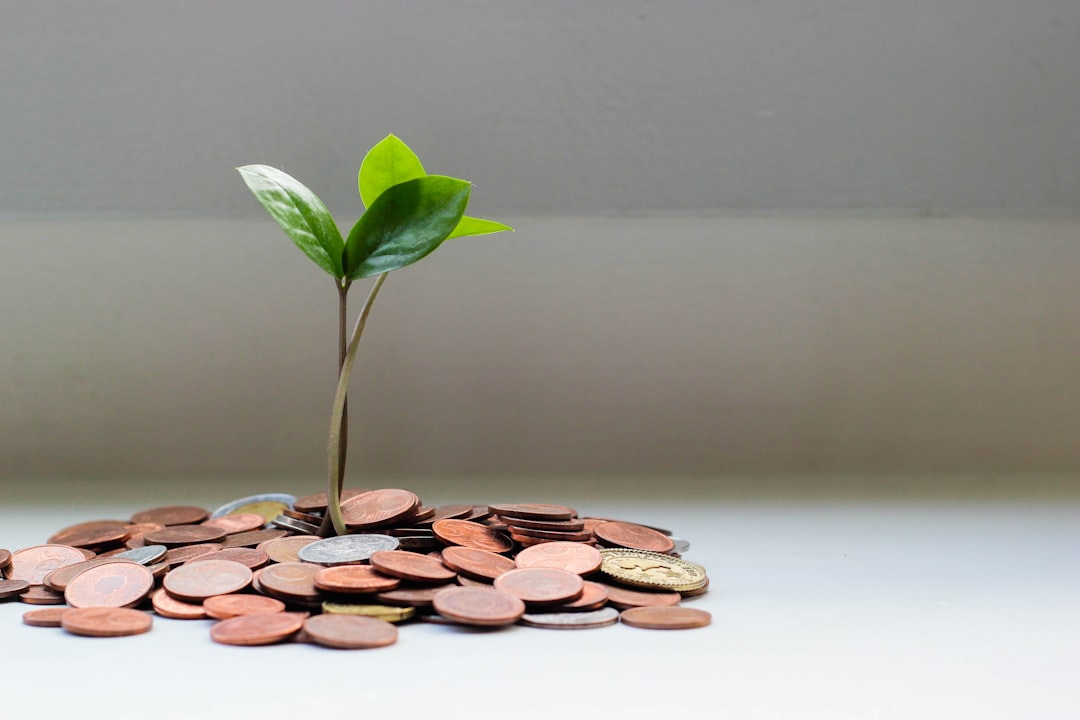découvrez toutes les informations essentielles sur l’investissement : types d’investissements, stratégies, avantages et conseils pour faire fructifier votre capital en toute sérénité.
