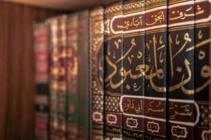 découvrez l'assurance-vie islamique : une solution conforme à la charia, éthique et solidaire, pour protéger votre famille tout en respectant vos convictions religieuses.
