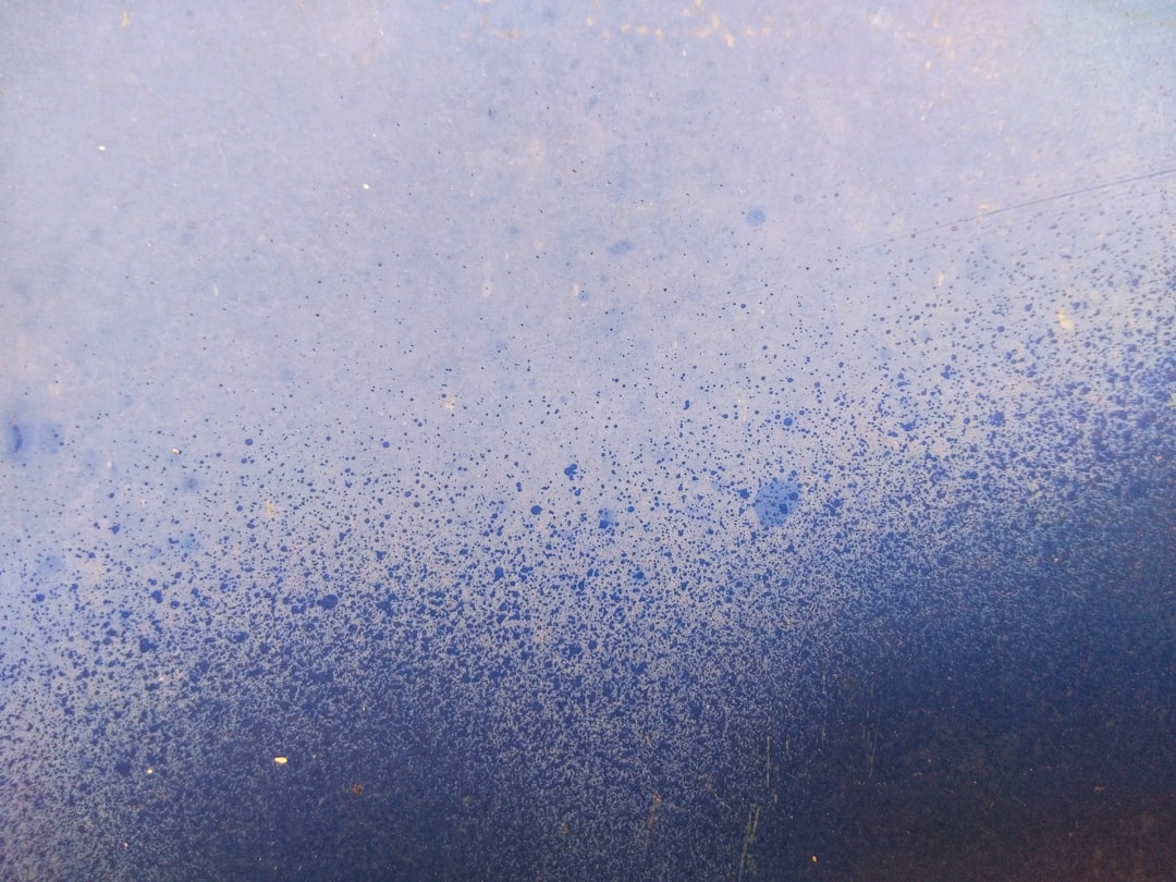 découvrez le livret bleu, un compte d'épargne sécurisé et accessible à tous, idéal pour faire fructifier votre argent tout en bénéficiant d'avantages fiscaux. informez-vous sur ses taux, conditions et atouts.