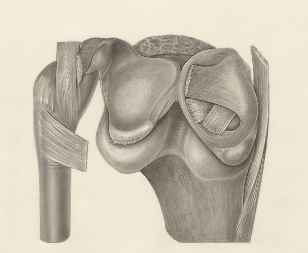 découvrez tout sur le corset médical : ses usages, indications, avantages et conseils pour soulager le dos et améliorer la posture. guide complet pour bien choisir son corset orthopédique.