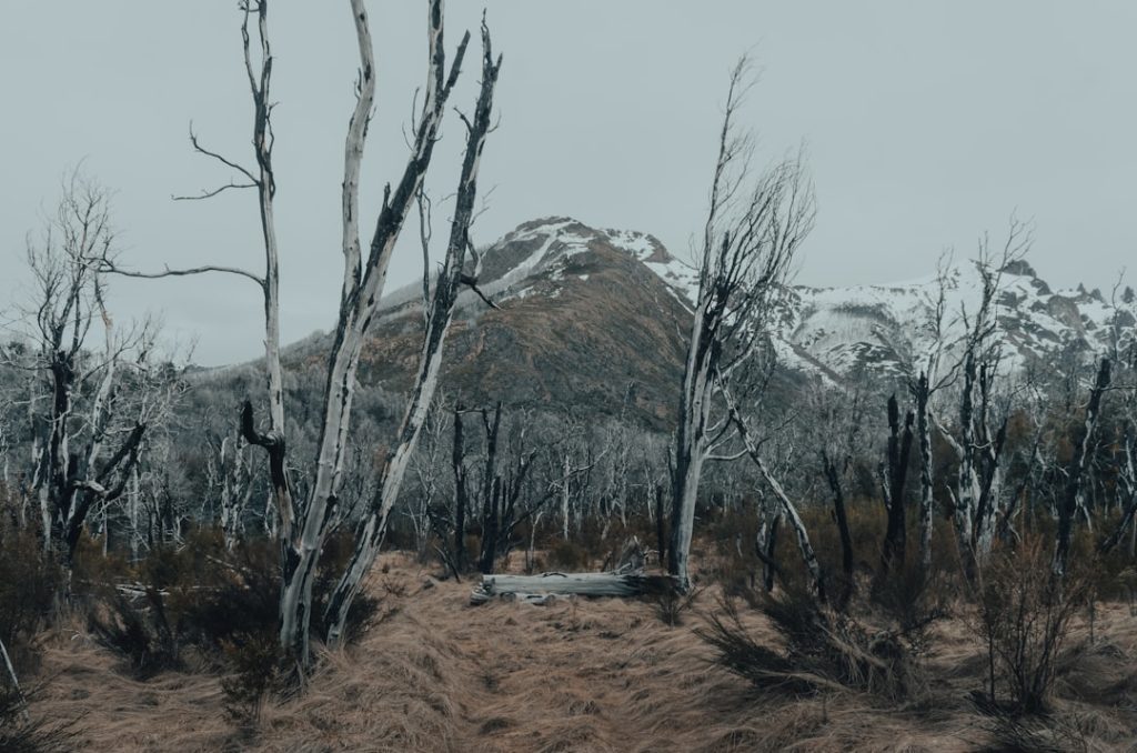 découvrez tout ce qu'il faut savoir sur le prélèvement : définition, fonctionnement, avantages, démarches pour mettre en place ou arrêter un prélèvement bancaire.