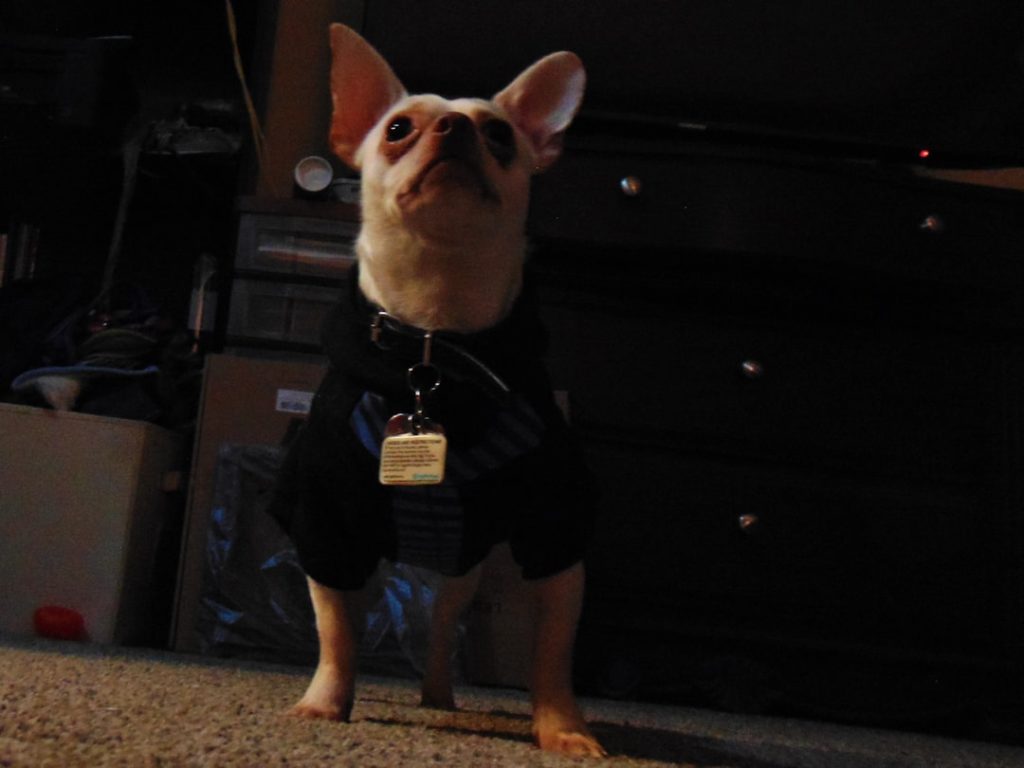 découvrez le métier d’agent de supervision : missions, compétences requises, formations et perspectives d’évolution pour piloter efficacement une équipe et assurer la bonne gestion des opérations.