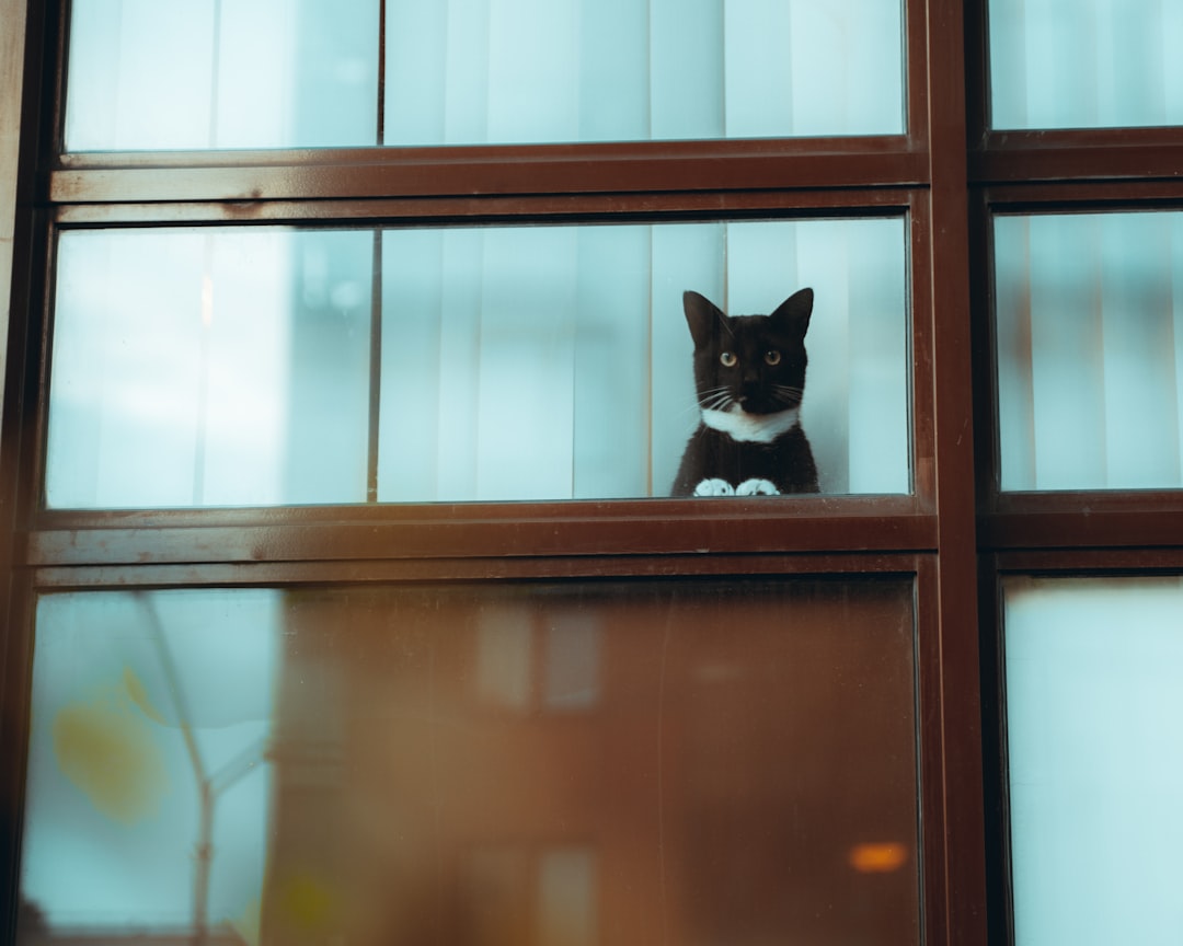 découvrez le rôle d'agent de supervision : missions, compétences requises, responsabilités et perspectives de carrière pour ce poste clé dans la gestion des équipes et l'optimisation des performances en entreprise.