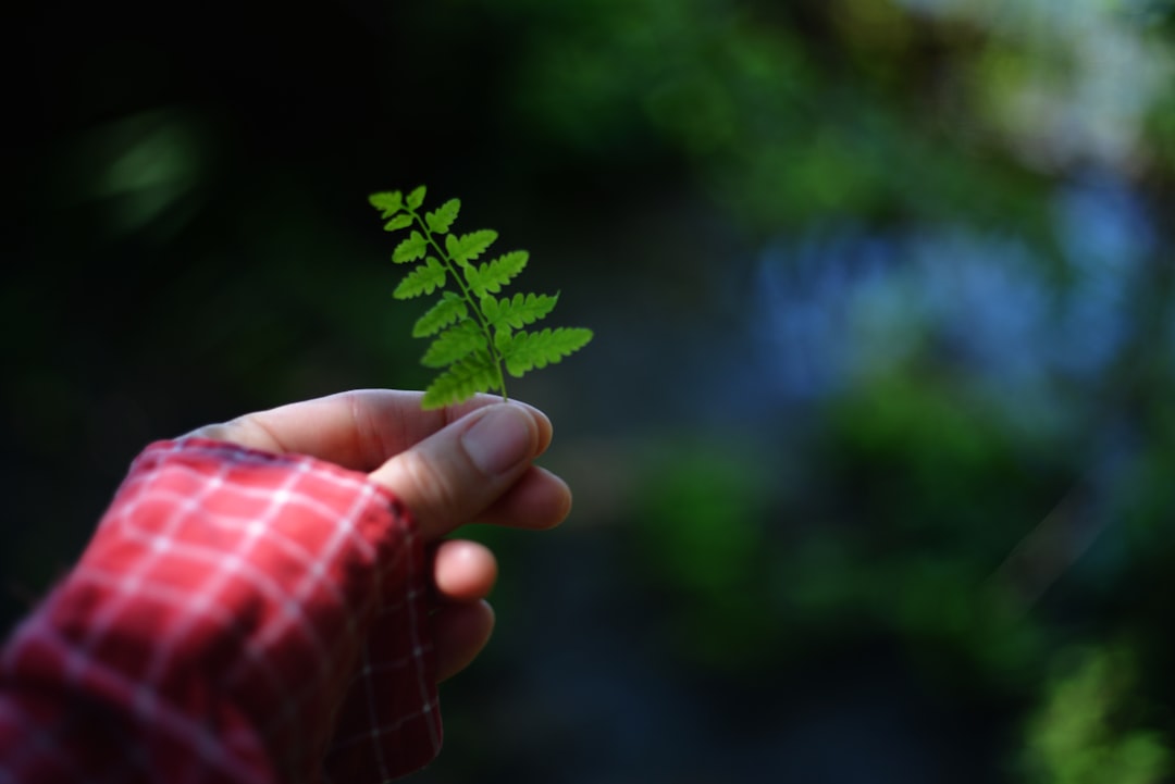 découvrez ce qu'est l'investissement durable, ses avantages, ses principes et comment il contribue à un avenir responsable et respectueux de l'environnement.