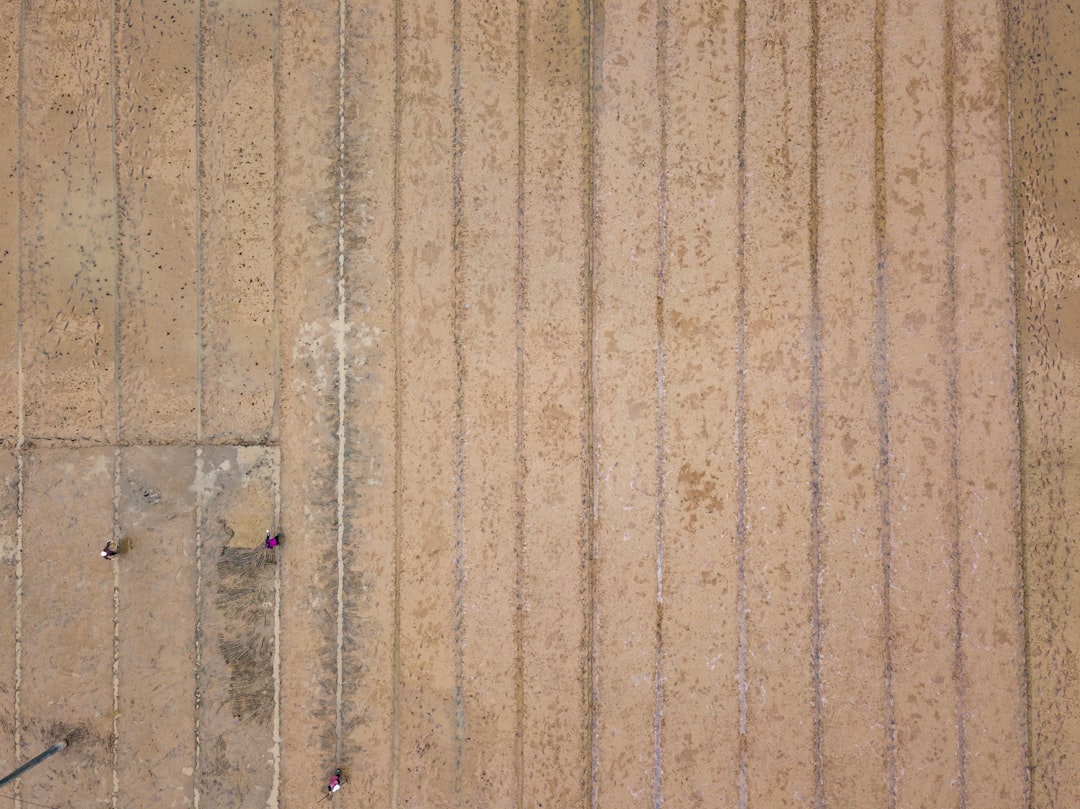 découvrez les causes les plus fréquentes des dommages au carrelage, les solutions pour réparer un sol carrelé abîmé et des conseils pour prévenir les fissures et décollements sur votre carrelage de sol.