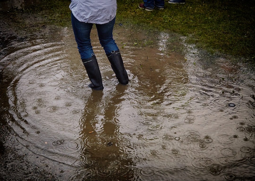découvrez comment prévenir et réparer les dégâts des eaux dans votre maison. solutions efficaces, conseils pratiques et prévention des sinistres liés à l'eau. protégez votre habitation dès aujourd'hui !